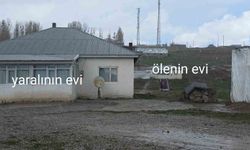 Köpek dehşetinin görüntüleri ortaya çıktı