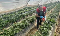 Köşk'ten Sultanhisar'a çapraz denetim