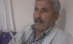 Kovalamaca sonucu yola çıkan inek, sahibini canından etti