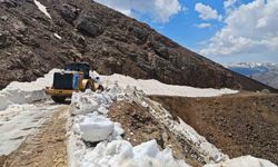 Kulp'ta çığ ve heyelan nedeniyle hasar gören yollar onarılıyor