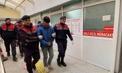 Kulübedeki baltalı ve kazmalı cinayette iki kuzene toplam 30 yıl hapis cezası