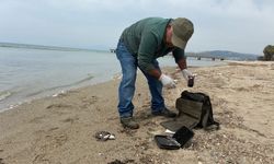 Kuşadası'nda iki deniz kaplumbağası ölü bulundu