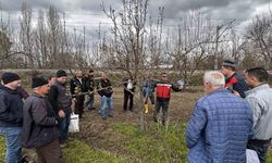 Kütahya'da meyve üreticilerine budama ve aşılama eğitimi