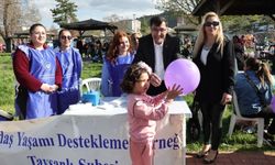 Kütahya'da Romanlar Günü coşkusu Kent Park'ta yaşandı