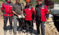 Mahsur kalan 2 keçi, 100 metrelik sarp araziden kurtarıldı
