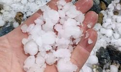 Malatya'da dolu kayısı bahçelerine zarar verdi