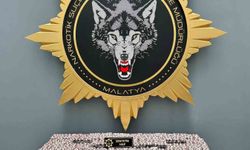 Malatya'da uyuşturucu operasyonu: 2 gözaltı