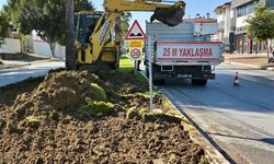 Manavgat belediyesi turizm bölgelerini yaz sezonuna hazırlıyor