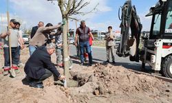 Melikgazi, ağaçlandırma çalışmaları ile geleceğe daha yeşil bir miras bırakıyor