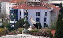 Menteşe'nin sadık misafirleri geldi, 30 yıllık gelenek bozulmadı