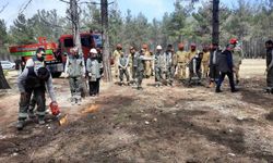 Mersin'de orman yangınlarına karşı tatbikat yapıldı