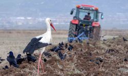 Meteorolojiden zirai don uyarısı