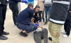 Motosiklet ile otomobil çarpıştı: 1 yaralı