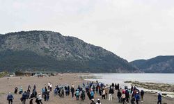 Muğla Büyükşehir'den sahillerde temizlik seferberliği