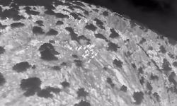 Muğla'da yaban keçileri termal kameralı drone ile görüntülendi