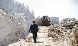 Muş'ta 5 metrelik karla zorlu mücadele