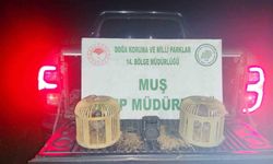 Muş'ta kaçak keklik avına suçüstü: 65 bin TL ceza kesildi