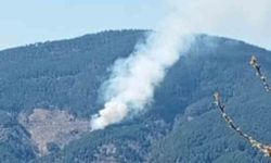 Nazilli'de orman yangını