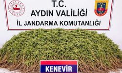 Nazilli'de uyuşturucu operasyonu