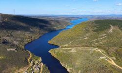 Ömerli Barajı doldu, İstanbul'da yeşil ve mavi buluştu
