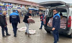 Ordu'da 200 kilo kaçak ete el konuldu