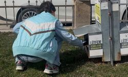 Özel öğrencilerden sokak hayvanlarına mama desteği