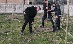 Patnos RAM'da ağaçlandırma çalışması