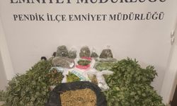 Pendik'te uyuşturucu operasyonu: 10 kilo marihuana ele geçirildi