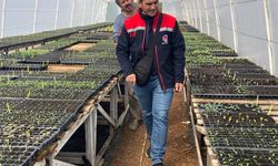 Pınarhisar'da üreticilere teknik destek