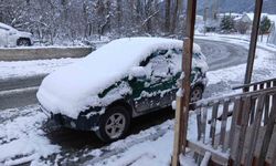 Posof'ta kar yağışı etkili oldu