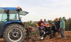 Poşusunu takan Kaymakam Kuran üreticilerle birlikte kekik dikti