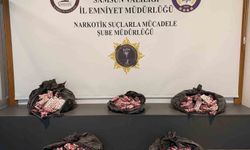 Samsun'da 24 bin 600 uyuşturucu hap ele geçirildi