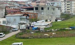 Samsun'daki evlat dehşeti: Anne ve oğlu evde ölü bulundu