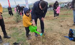 Sandıklı'da 'Türkiye'nin gücü orman' etkinliği