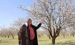 Şanlıurfa badem üretiminde Adıyaman ile yarışıyor