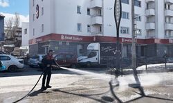 Sarıkamış'ta bahar temizliği seferberliği başladı