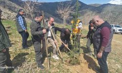 Sason'da şehitler anısına fidanlar toprakla buluşturuldu