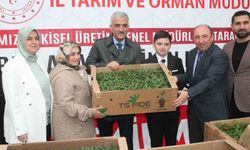 Sebze üretimi yapan çiftçilere fide dağıtıldı