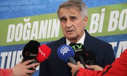 Şenol Güneş: 'Milli takımın çeyrek finale kadar rahat gelebilecek bir görüntüsü var'