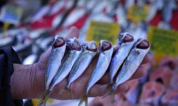 Sezonun sonuna gelinirken istavritin kilosu 70 TL'ye düştü