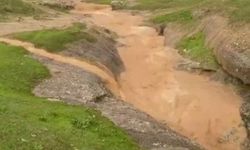 Siirt'te dolu yağışı etkili oldu, bahçeler zarar gördü