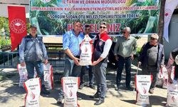 Silajlık mısıra alternatif olan sorgum otu üreticilere dağıtıldı