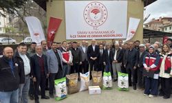 Simav'da çiftçilere yüzde 75 hibeli tohum desteği