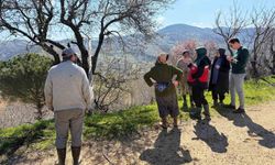 Simav'da üreticilere zirai don uyarısı