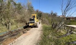 Sinop'ta kırsal yollarda bakım çalışmaları