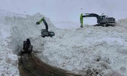 Şırnak'ta çığ düşen yolda çalışmalar devam ediyor