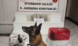 Su arıtma cihazına zulalanmış esrar ele geçirildi