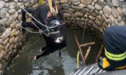 Su kuyusuna düşen inek itfaiye ekiplerince kurtarıldı