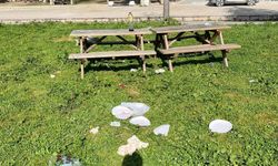 Tarihi alan çöplüğe döndü