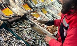 Tekirdağ'da su ürünleri denetimi